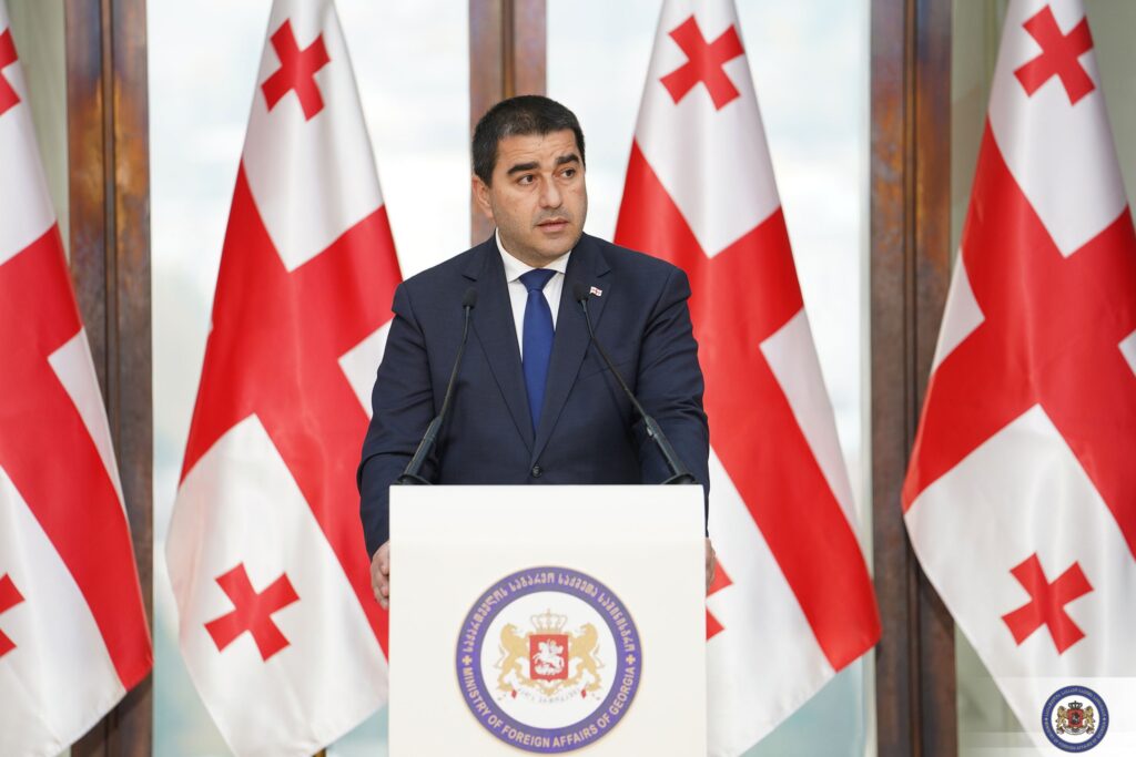 papuashvili 8 новости акция протеста в тбилиси, ВВС, гибридная война, Грузинская мечта, камит, Спикер парламента, химическое оружие, химоружие, Шалва Папуашвили