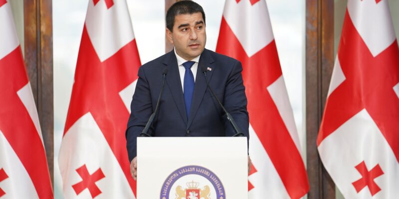 papuashvili 8 новости акция протеста в тбилиси, ВВС, гибридная война, Грузинская мечта, камит, Спикер парламента, химическое оружие, химоружие, Шалва Папуашвили