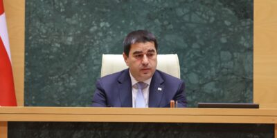 Спикер сравнил "открытые двери" НАТО с "морковью перед скотом" 5 papuashvili shalva sh политика Грузинская мечта, Грузия-НАТО, Спикер парламента, Шалва Папуашвили