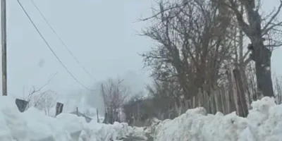 В некоторых сёлах Аджарии высота снежного покрова достигает 1 метра 21 sneg ajaria Другая SOVA Аджарская АР, Департамент автомобильных дорог, непогода, снегопад