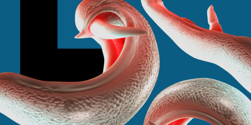 1cb1d450 fd2c 11f0 9972 d3f265c101c6.png Новости BBC Паразит