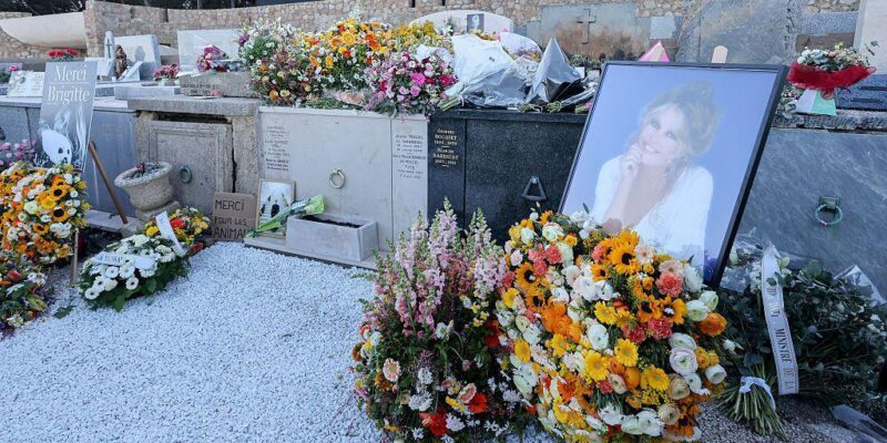 Частная церемония с трансляцией на больших экранах. Как прошли похороны Брижит Бардо 1 270e9b10 ebd7 11f0 b725 593cd1ff1d86.jpg Новости BBC Брижит Бардо