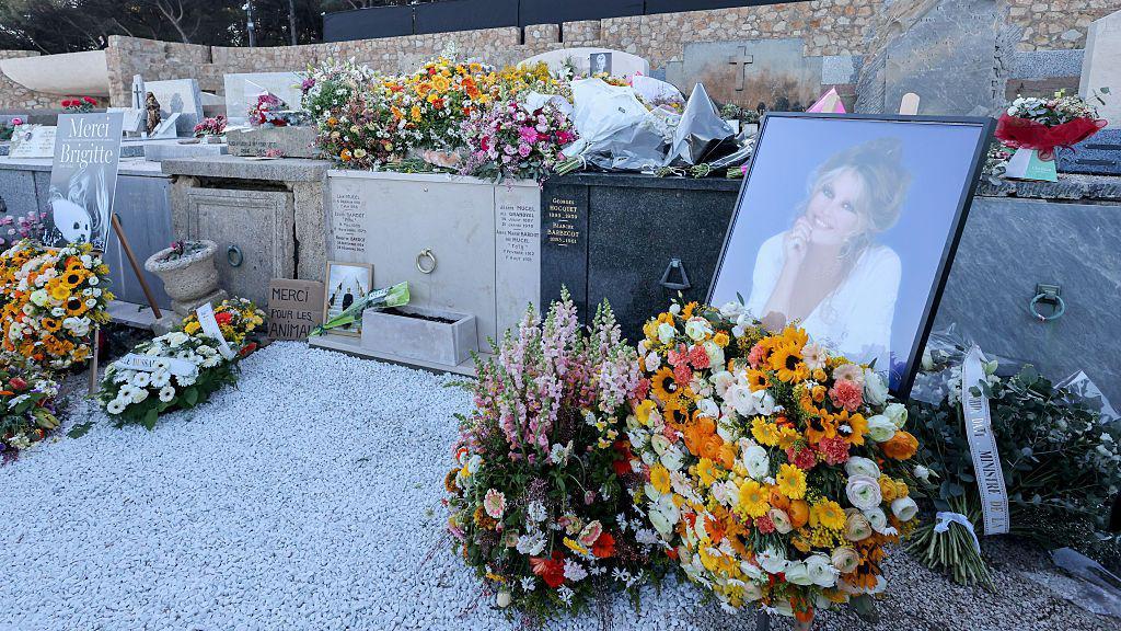 270e9b10 ebd7 11f0 b725 593cd1ff1d86.jpg Новости BBC Брижит Бардо