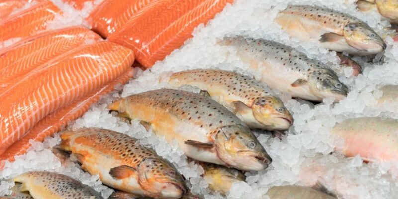 321321 новости импорт, рыба, экспорт. импорт