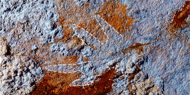 49574100 f635 11f0 b385 5f48925de19a.png Новости BBC Индонезия