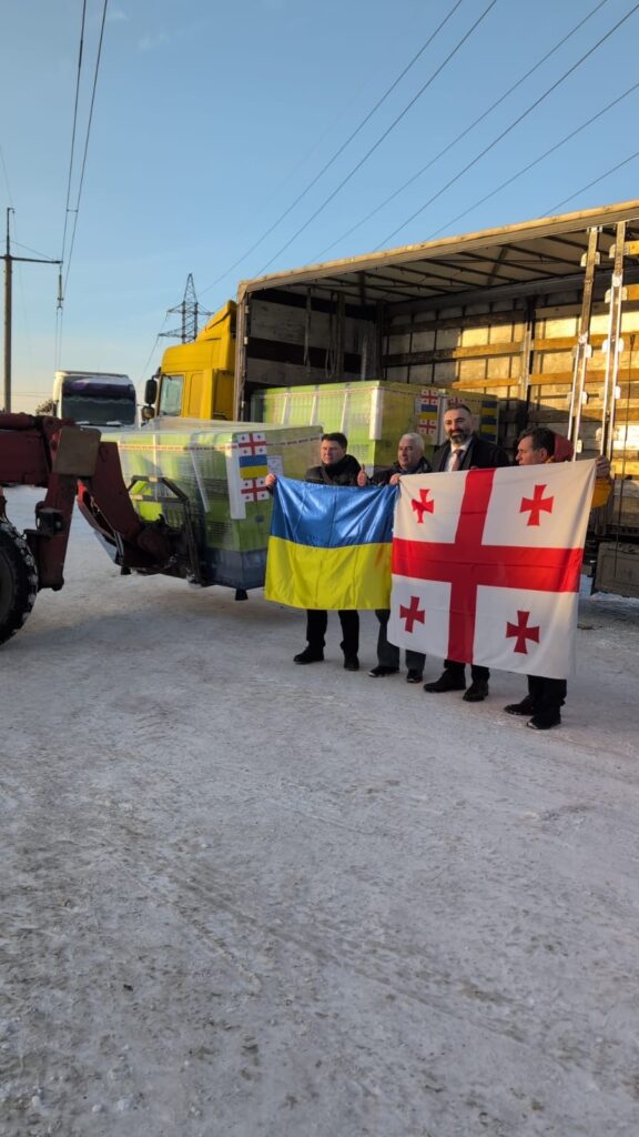 695cce9358279228412318 новости Грузия-Украина, Ираклий Абесадзе, МИД Украины, Украина. Грузия