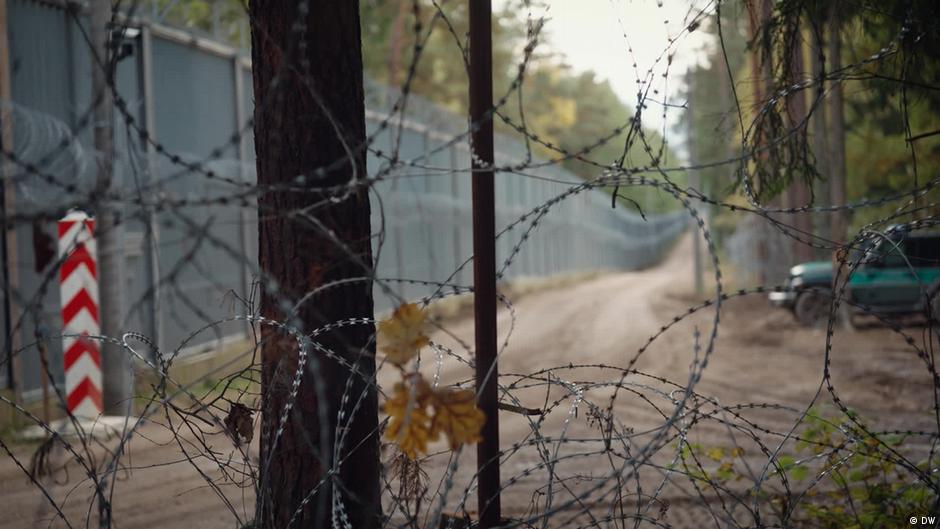 75445982 403.jpg Deutsche Welle Беловежская пуща