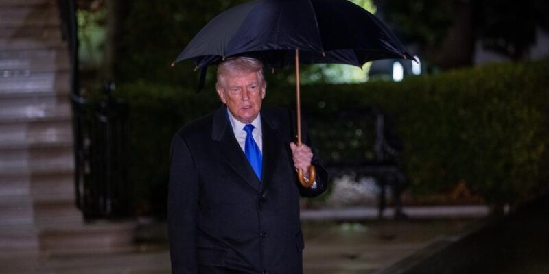 75457904 403.jpg Deutsche Welle мирный план по Украине