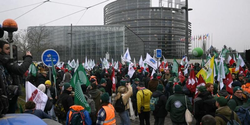 75577575 403.jpg Deutsche Welle страсбург