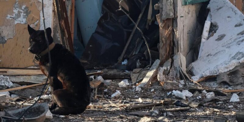 75591090 403.jpg Deutsche Welle "Искандеры"