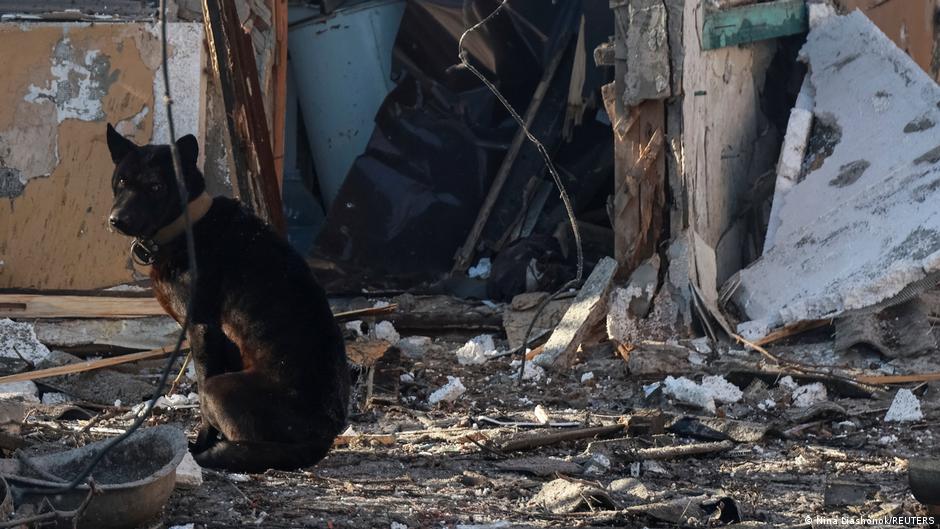 75591090 403.jpg Deutsche Welle "Искандеры"