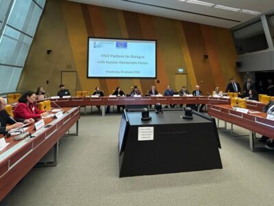 Платформа демократических сил России при ПАСЕ провела первое заседание 3 75716955 403.jpg Deutsche Welle ПАСЕ