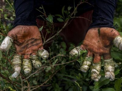 7f36b480 ebcd 11f0 98c0 b72e1e8ed823.jpg Новости BBC наркотики