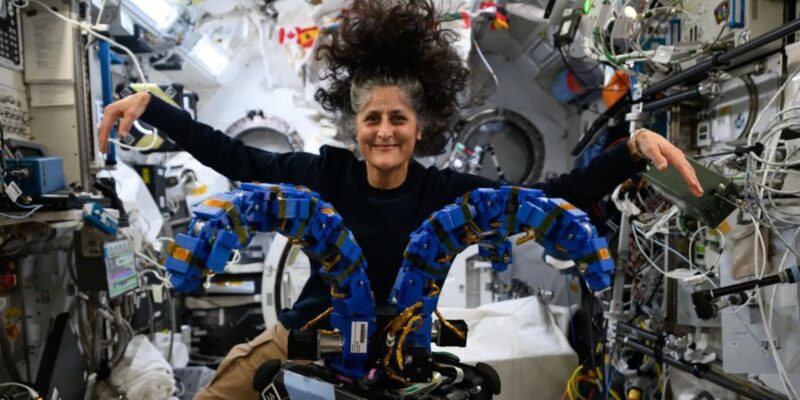 Астронавт Сунита Уильямс: что я поняла о Земле, проведя девять месяцев в космосе 1 c4f12be0 fd0c 11f0 a348 87ce2b32c61c.jpg Новости BBC астронавты