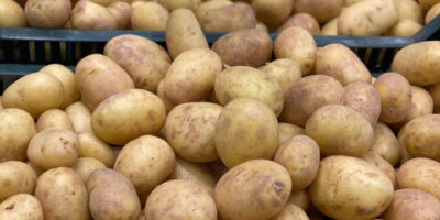 kartoshka политика Грузинская мечта, грузинские фермеры, грузинский картофель, Грузия-Россия, Грузстат, картофель, картошка, Национальная служба статистики Грузии, Сакстат, экспорт в Россию