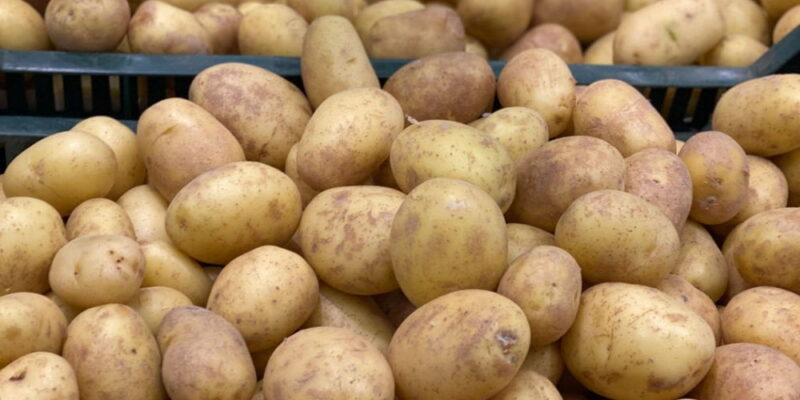 kartoshka новости Грузинская мечта, грузинские фермеры, грузинский картофель, Грузия-Россия, Грузстат, картофель, картошка, Национальная служба статистики Грузии, Сакстат, экспорт в Россию