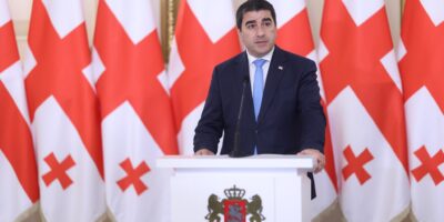 papuaashvili политика Бидзина Иванишвили, Грузинская мечта, Ираклий Кобахидзе, Михаэль Галер, Спикер парламента, Шалва Папуашвили