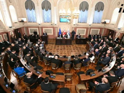 sakrebulo новости бюджет, сакребуло, тбилиси