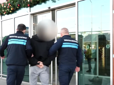 screenshot 2026 01 10 112842 новости выдворение из Грузии, гражданин Германии, МВД Грузии, миграционная служба