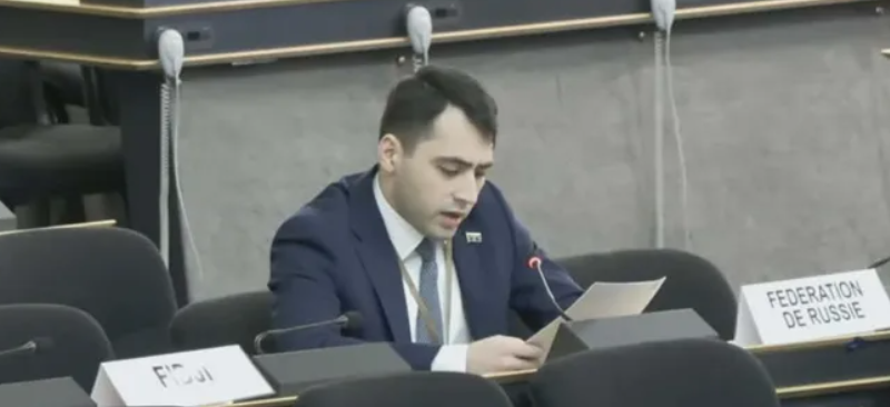 screenshot 2026 01 27 001630 новости верховенство закона, ООН, права человека, Россия-Грузия, Руслан Строганов