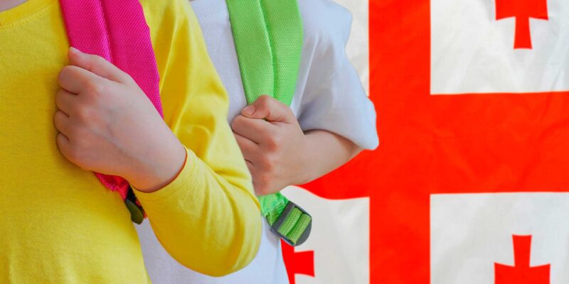 ucheniki новости Грузинская мечта, Минобразования Грузии, Национальная концепция реформы образования, реформа образования