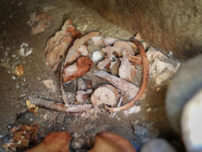 1771850213 641049535 26873352328934072 9056696203798213339 n новости гробницы, Нино Лацабидзе, Рустави