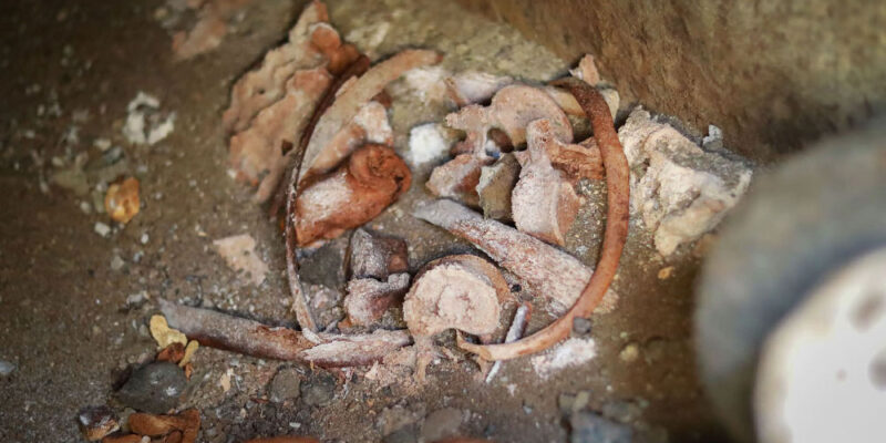 В Рустави обнаружены гробницы IV-V веков 1 1771850213 641049535 26873352328934072 9056696203798213339 n новости гробницы, Нино Лацабидзе, Рустави