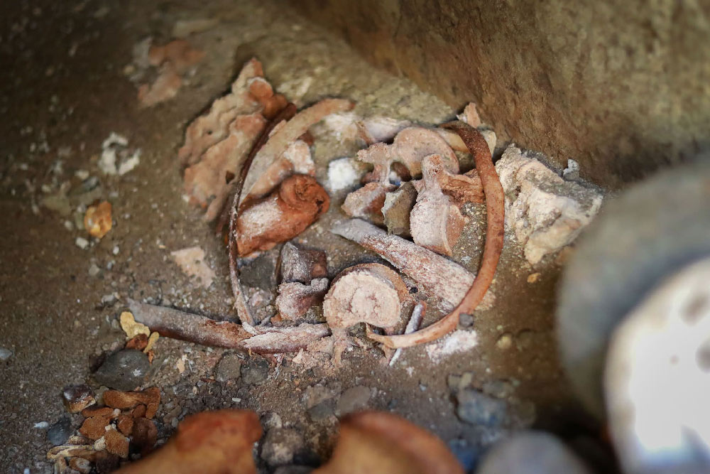 1771850213 641049535 26873352328934072 9056696203798213339 n новости гробницы, Нино Лацабидзе, Рустави