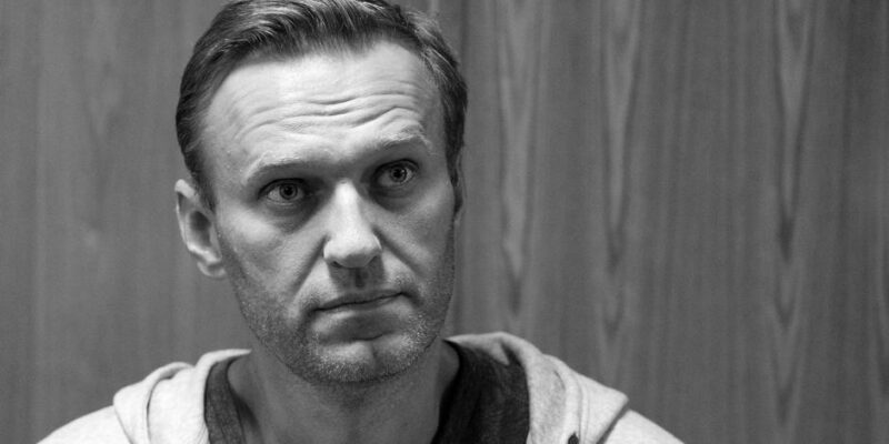 68275848 403.jpg Deutsche Welle древесная лягушка, отравление Навального, эпибатидин