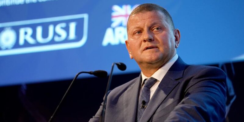 69741824 403.jpg Deutsche Welle Валерий Залужный