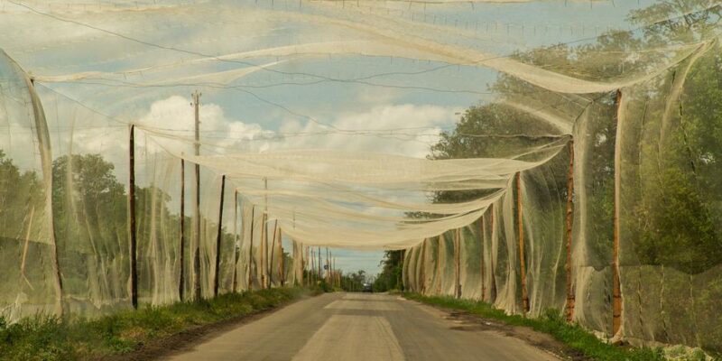 73061666 403.jpg Deutsche Welle годовщина войны в Украине