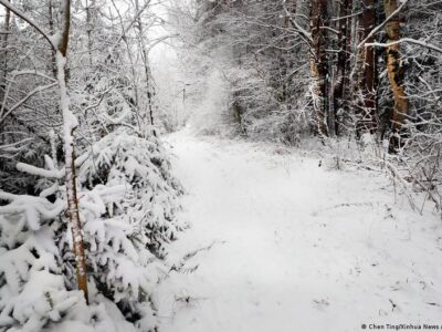 75802716 403.jpg Deutsche Welle морозы в Беларуси