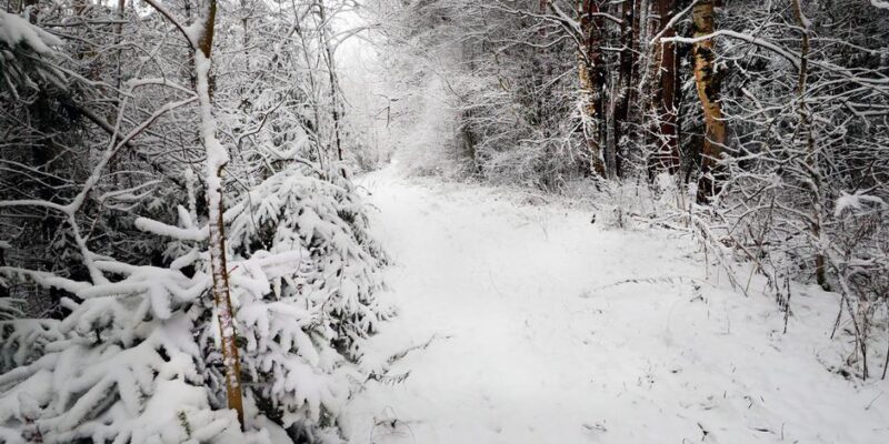 75802716 403.jpg Deutsche Welle морозы в Беларуси