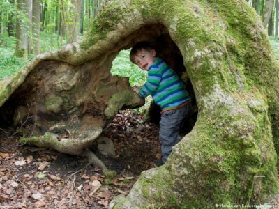 76013577 403.jpg Deutsche Welle Биофобия