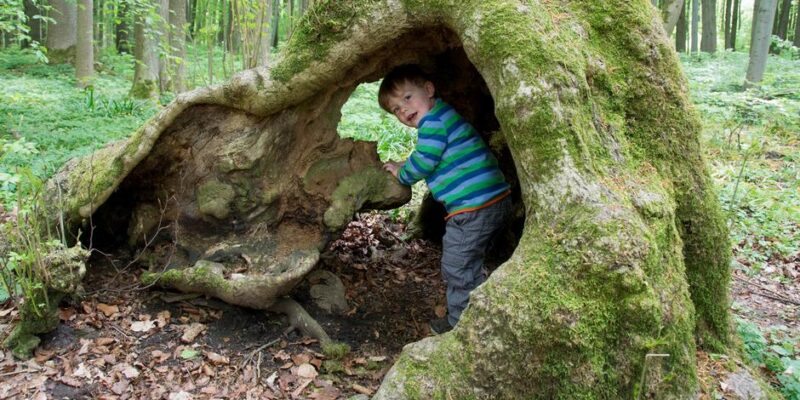 Биофобия: все больше людей боятся природы 1 76013577 403.jpg Deutsche Welle Биофобия