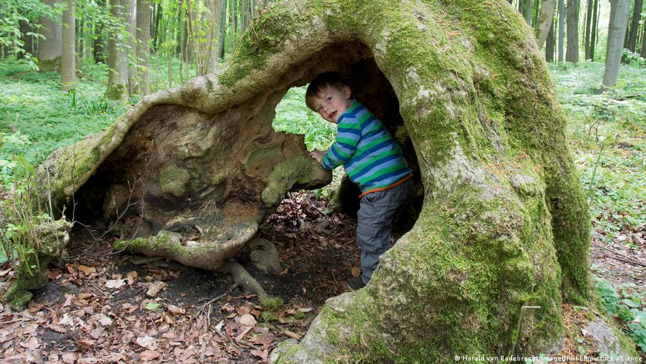 76013577 403.jpg Deutsche Welle Биофобия