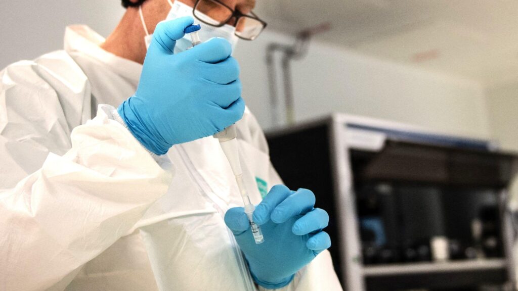 b0341150 059e 11f1 9972 d3f265c101c6.jpg Новости BBC близнецы во Франции