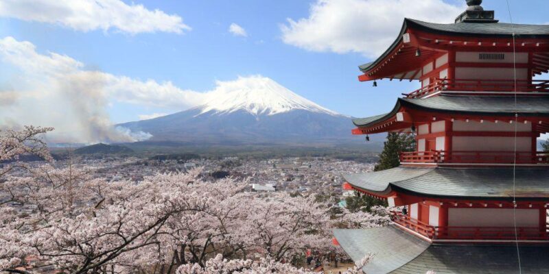 beebf770 0284 11f1 989a 85fdf979a556.jpg Новости BBC Япония