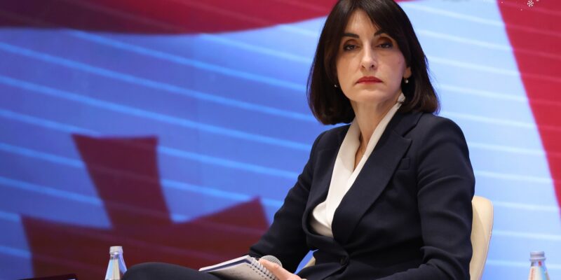 bochorishvili ministr maka новости Глава МИД Грузии, Грузия-США, Мака Бочоришвили