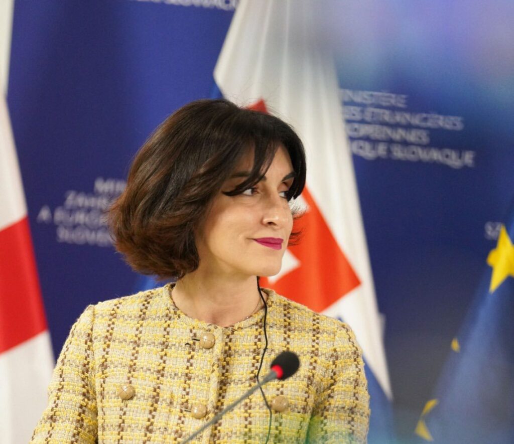 МИД Грузии: права человека - не только международные обязательства, но и основа видения нашего правительства 2 bochorishvili mmmmaka e1771867702430 новости власти Грузии, Глава МИД Грузии, Грузинская мечта, Мака Бочоришвили, права человека