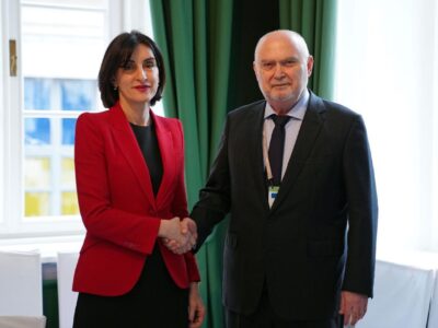 feriidun новости Глава МИД Грузии, Грузия-ОБСЕ, Мака Бочоришвили, Феридун Синирлиоглу