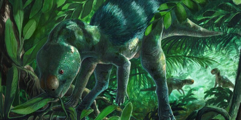 ffef6860 0199 11f1 a8b8 bdd2c5f9bcad.jpg Новости BBC динозавры