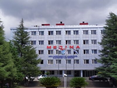 Санитарка клиники "Медина", попытавшаяся убить своего новорожденного, задержана 2 medina новости Батуми, клиника "Медина", новорожденные, новорожденный