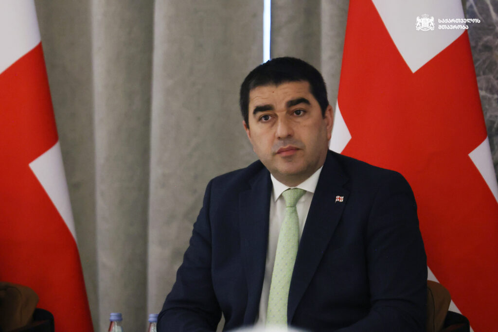 papuashvili shhhh новости война в Украине, годовщина войны в Украине, Грузия-Украина, Спикер парламента, Шалва Папуашвили