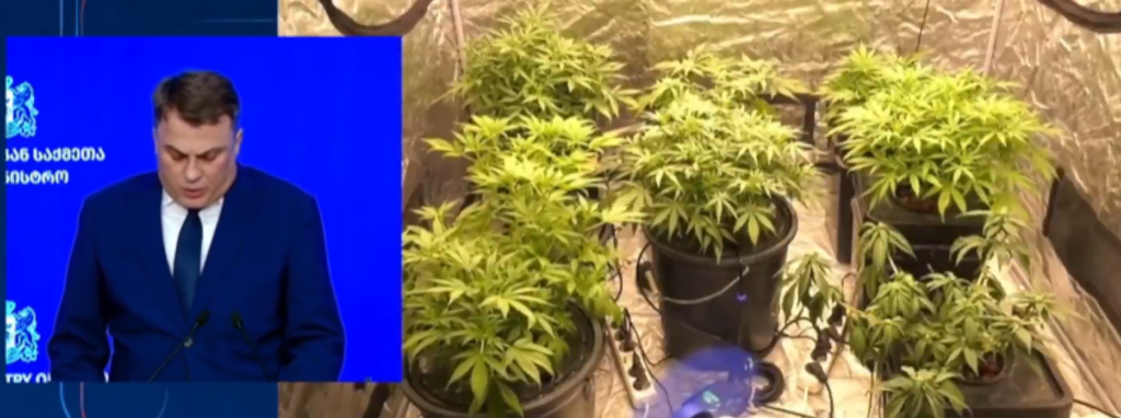screenshot 2026 02 23 115238 новости Георгий Бухрашвили, МВД Грузии, метадон, полиция Аджарии
