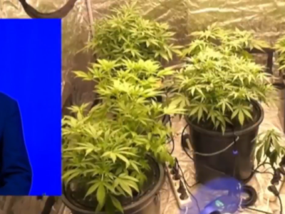 screenshot 2026 02 23 115238 новости Георгий Бухрашвили, МВД Грузии, метадон, полиция Аджарии