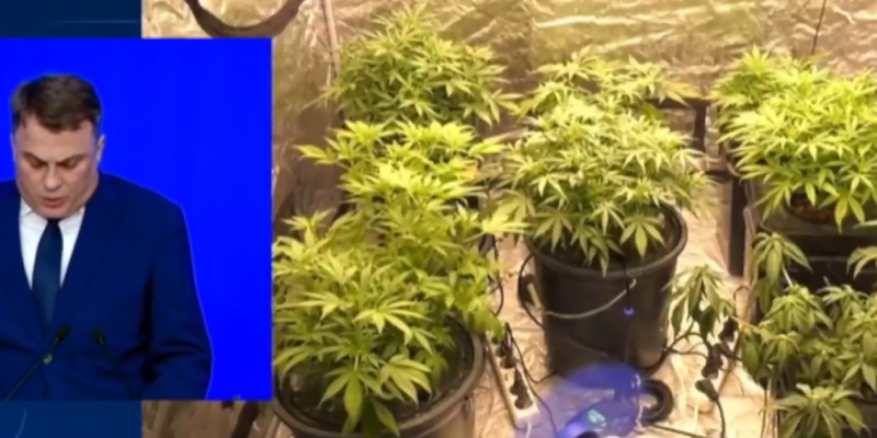 screenshot 2026 02 23 115238 новости Георгий Бухрашвили, МВД Грузии, метадон, полиция Аджарии