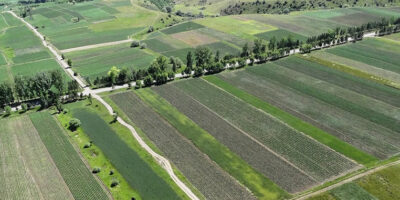 32131 1 новости Департамент автомобильных дорог, министр экономики и устойчивого развития Грузии, Тержола