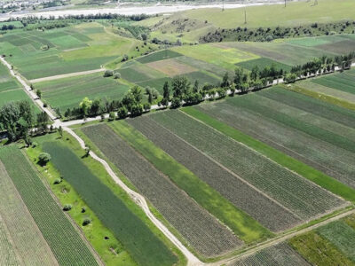 32131 1 новости Департамент автомобильных дорог, министр экономики и устойчивого развития Грузии, Тержола