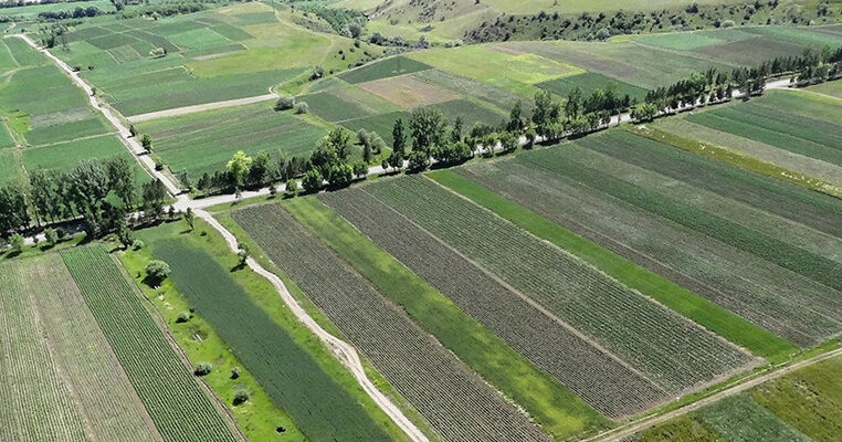 32131 1 новости Департамент автомобильных дорог, министр экономики и устойчивого развития Грузии, Тержола